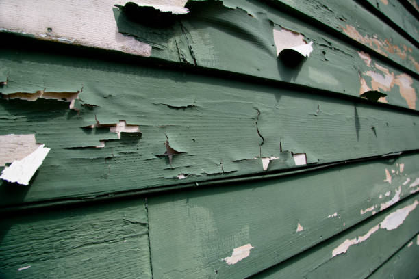 Best Foreclosure Cleanout  in Mayo, SC